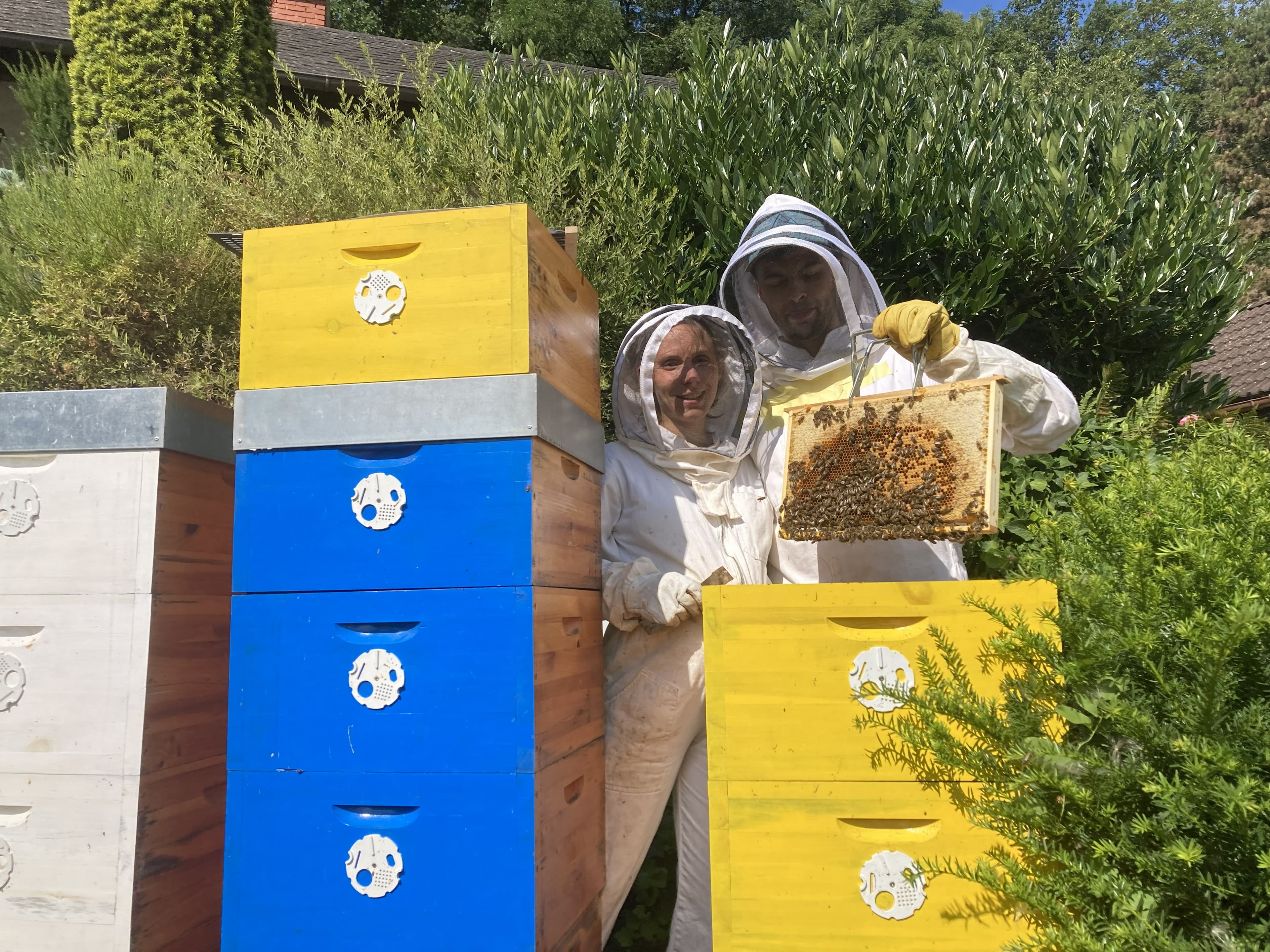 Beekeeping